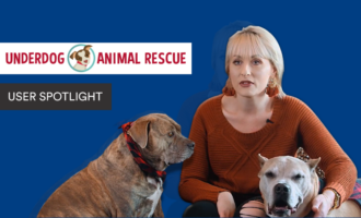 How a rescue uses Jform to find new homes for dogs