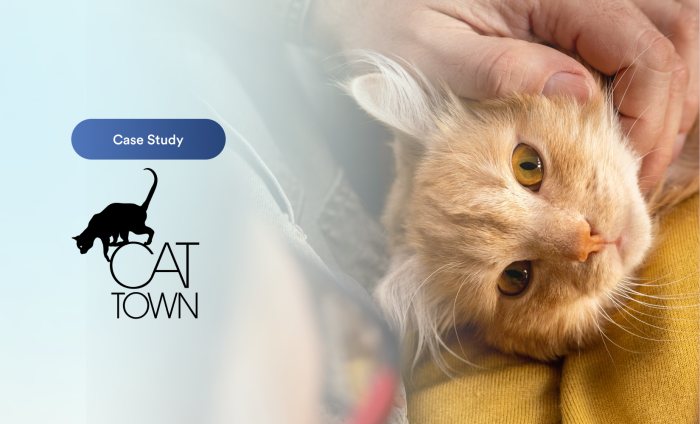 Cat Town이 Jform을 활용해 더 빠르게 더 많은 생명을 구하는 방법